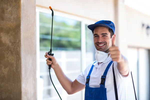 Cibolo Wasp Removal