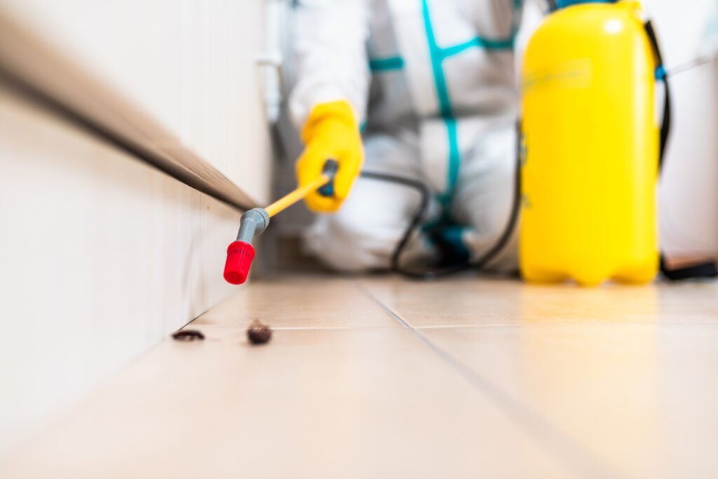 Cibolo Cockroach Experts