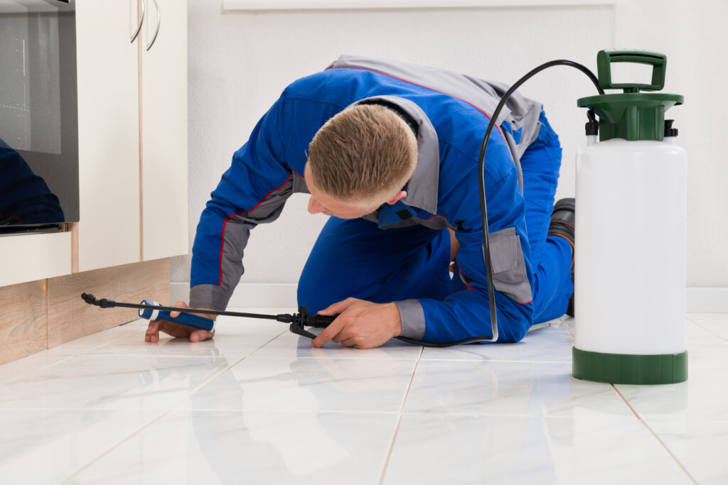 Cibolo Ant Control Xperts