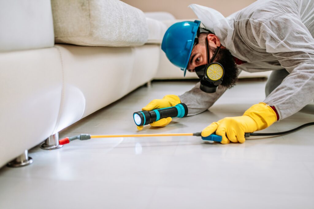 Cibolo Termite Control