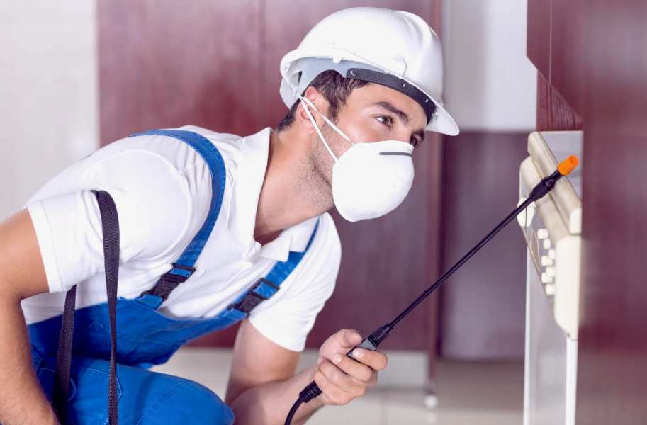 Cibolo local pest services