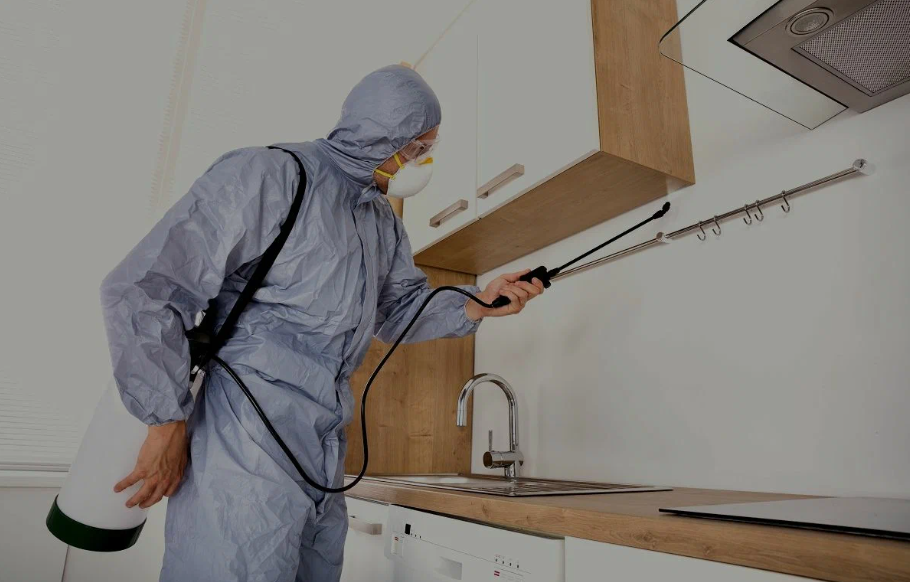 Cibolo pest managment